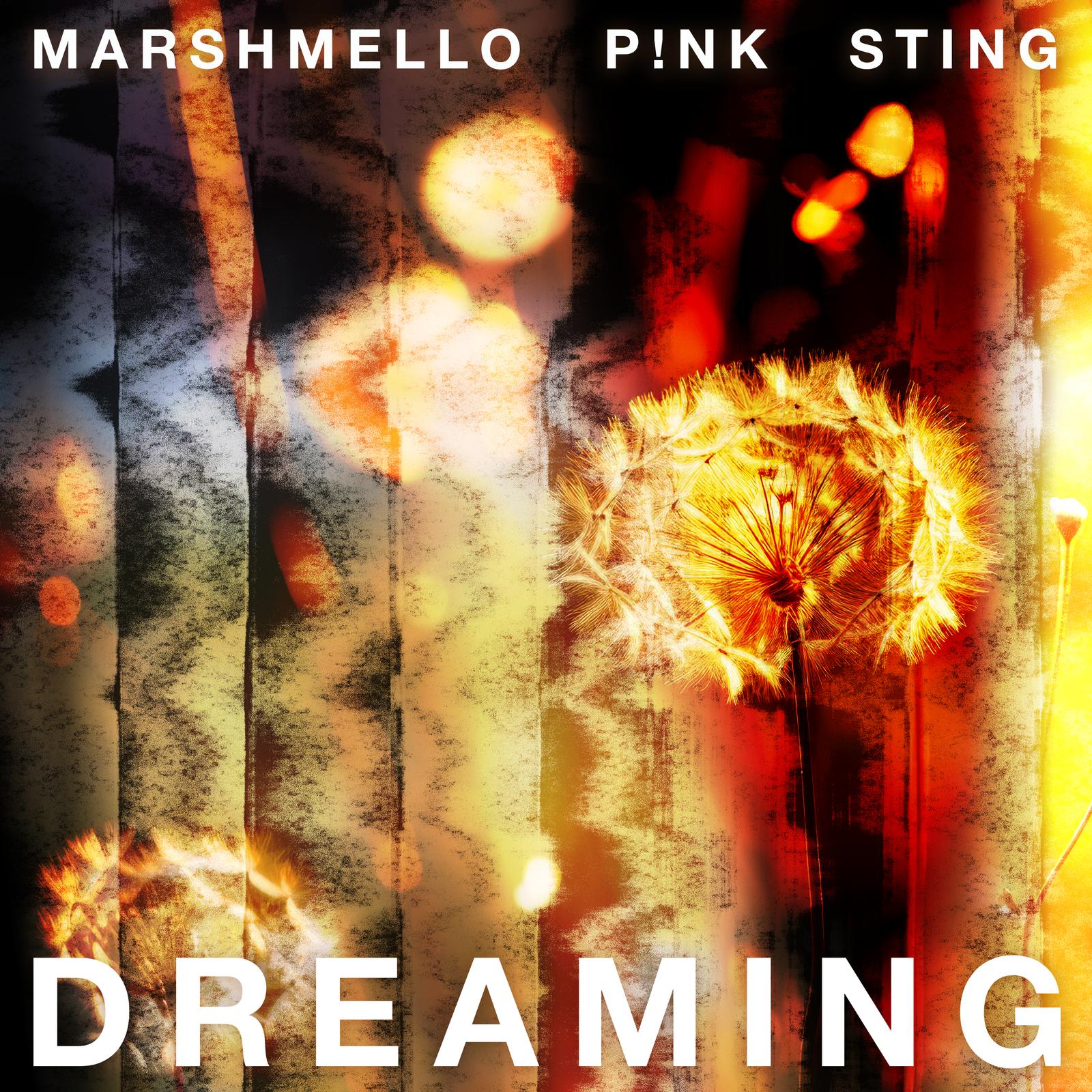 Marshmello & Pink & Sting - Dreaming