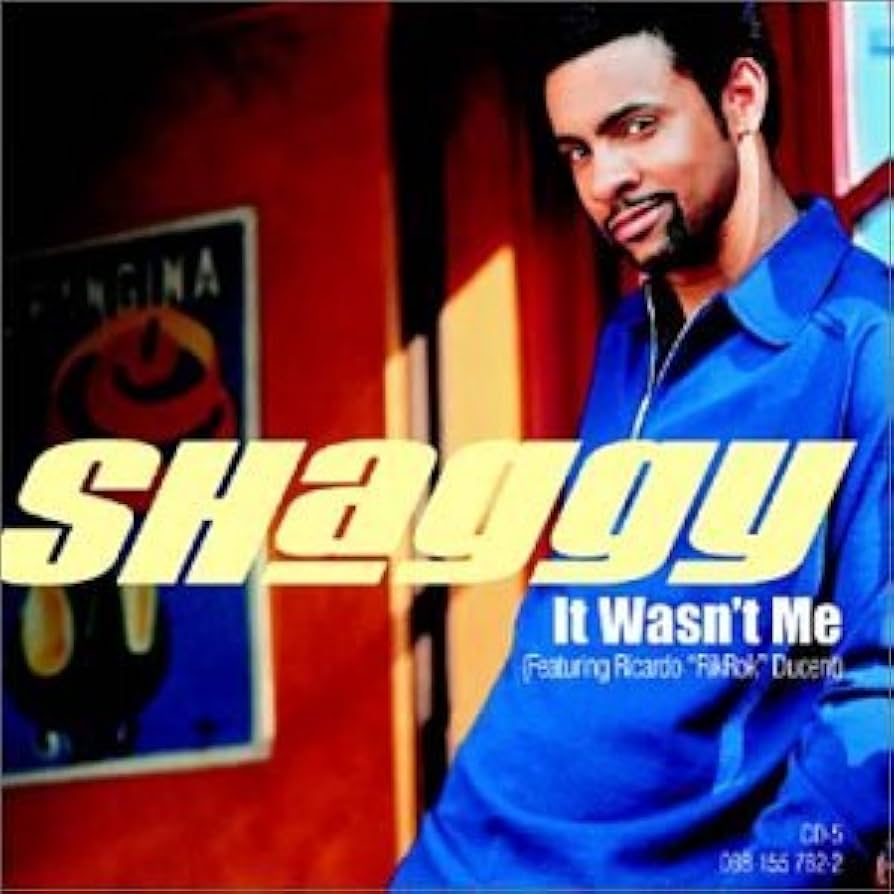 Shaggy - It Wasnt Me